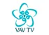 VAV TV logosu