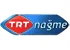 TRT Nağme logosu